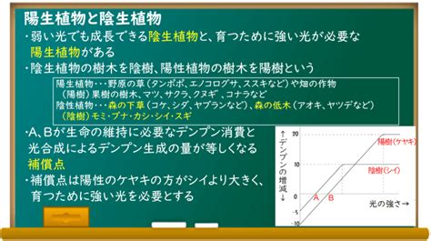 陰生植物 一覧|陽性植物と半陰性植物と陰性植物の野菜一覧【家庭菜園で役立つ。